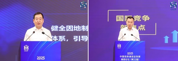 1749633973316588.jpg 015.jpg