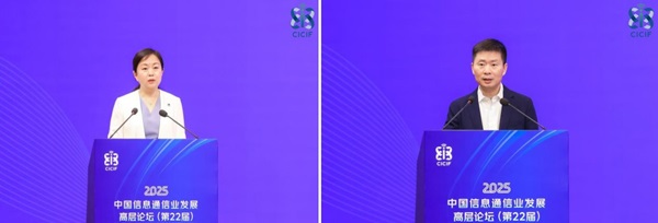 1749633984637031.jpg 017.jpg